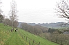 eifel0523.jpg