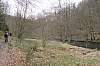 eifel0538.jpg