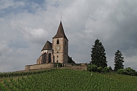 alsace0797.jpg