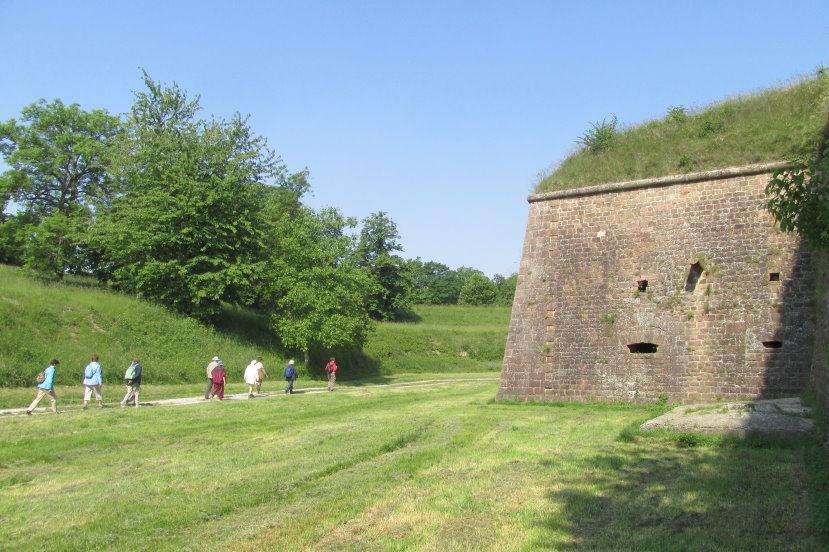alsace0725.jpg