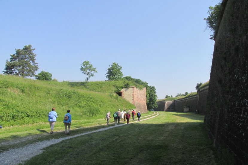 alsace0726.jpg