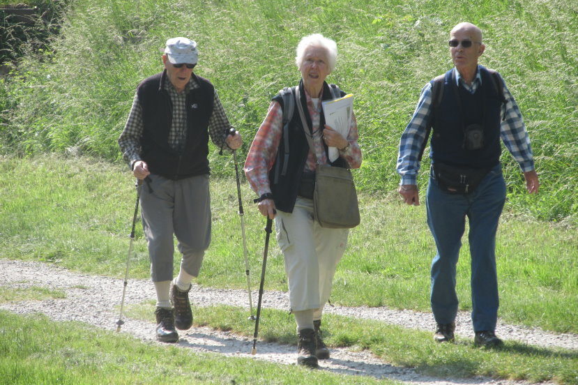 alsace0728.jpg