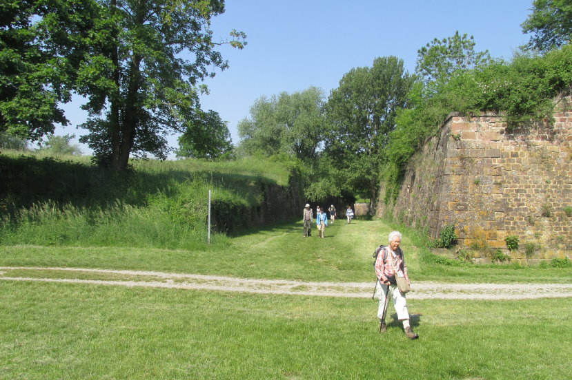 alsace0733.jpg