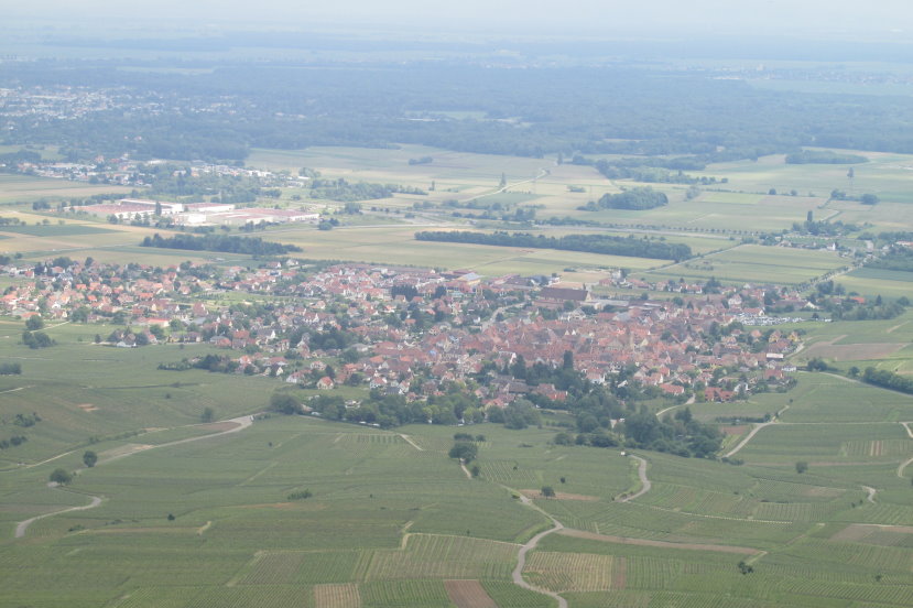 alsace0764.jpg