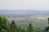 alsace0762.jpg