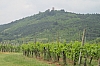 alsace0778.jpg