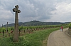 alsace0783.jpg