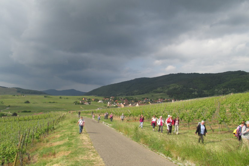 alsace0788.jpg