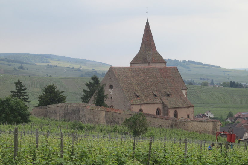 alsace0791.jpg