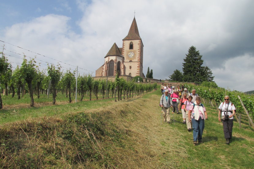 alsace0796.jpg