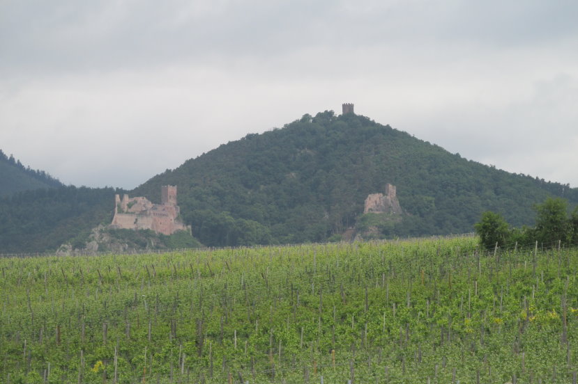 alsace0798.jpg