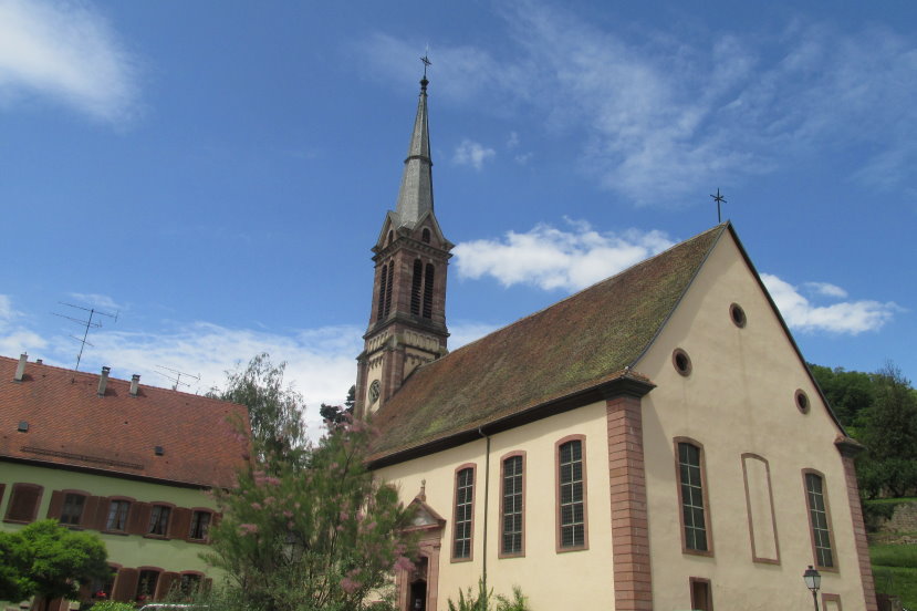 alsace0807.jpg