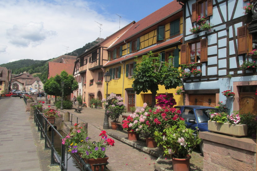 alsace0809.jpg