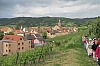 alsace0787.jpg