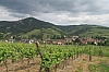 alsace0799.jpg