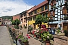 alsace0809.jpg