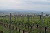 alsace0813.jpg