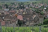 alsace0815.jpg