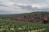 alsace0818.jpg