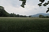 alsace0846.jpg