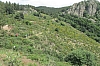 ardeche1185.jpg