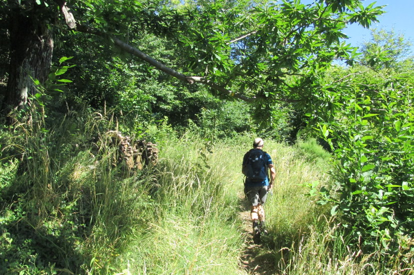 ardeche1225.jpg