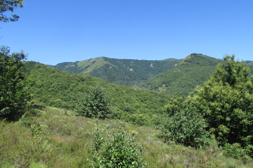 ardeche1234.jpg