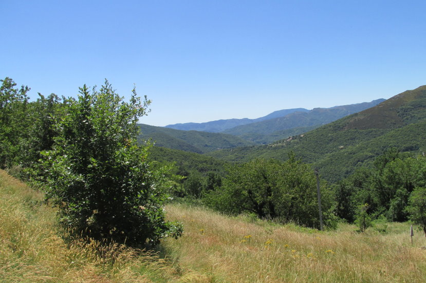 ardeche1246.jpg