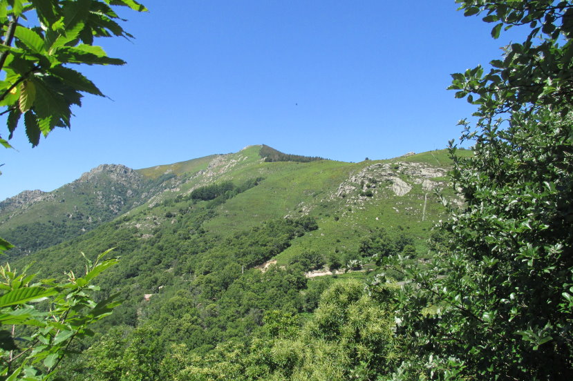 ardeche1266.jpg