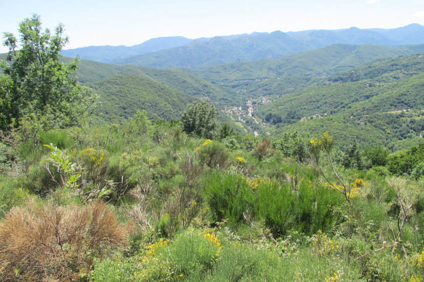 ardeche1270.jpg