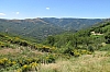 ardeche1261.jpg