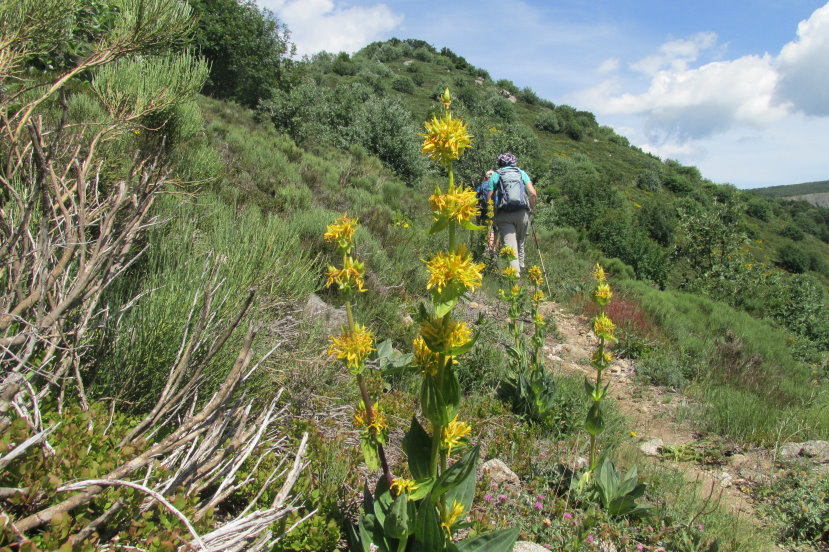 ardeche1295.jpg