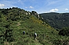 ardeche1289.jpg