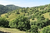 ardeche1328.jpg