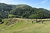 ardeche1330.jpg