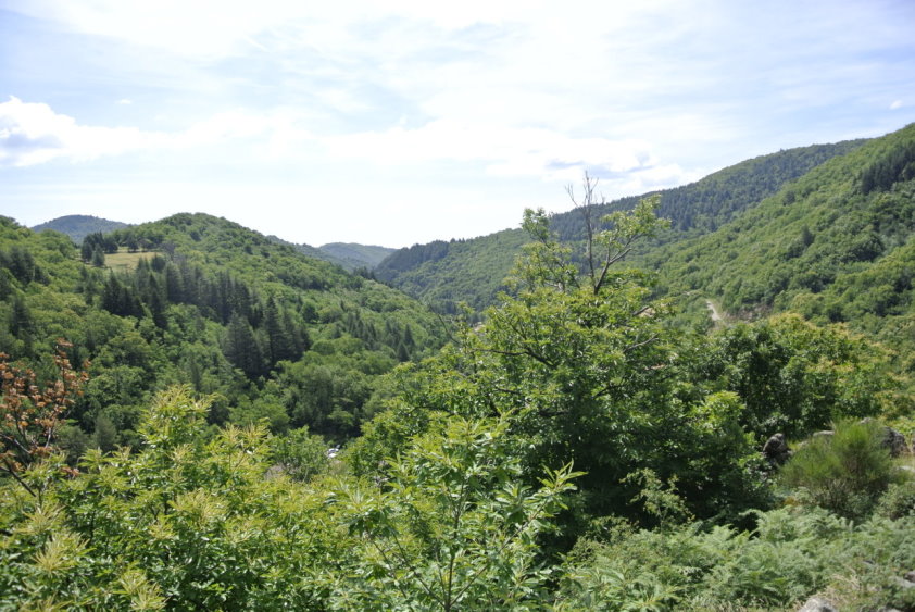 ardeche4342.jpg