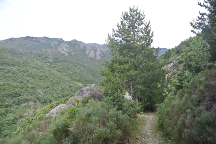 ardeche4383.jpg