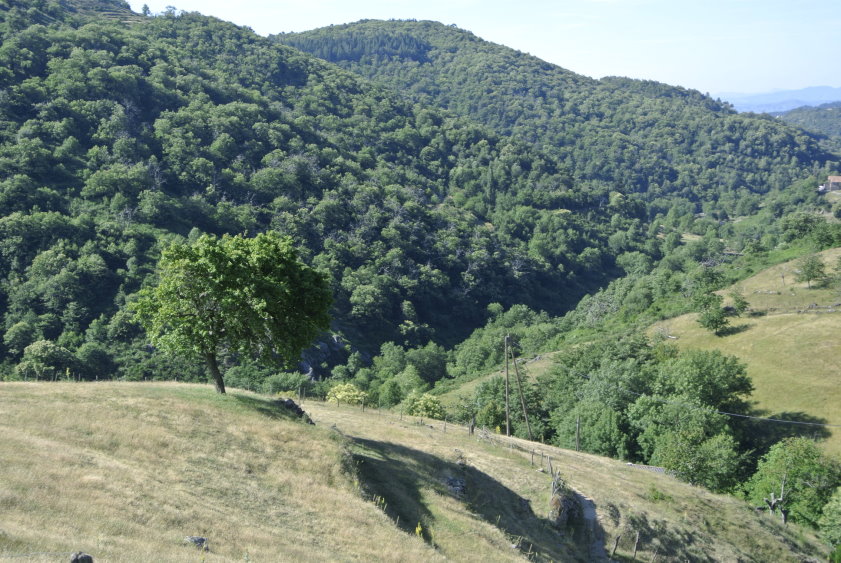 ardeche4562.jpg