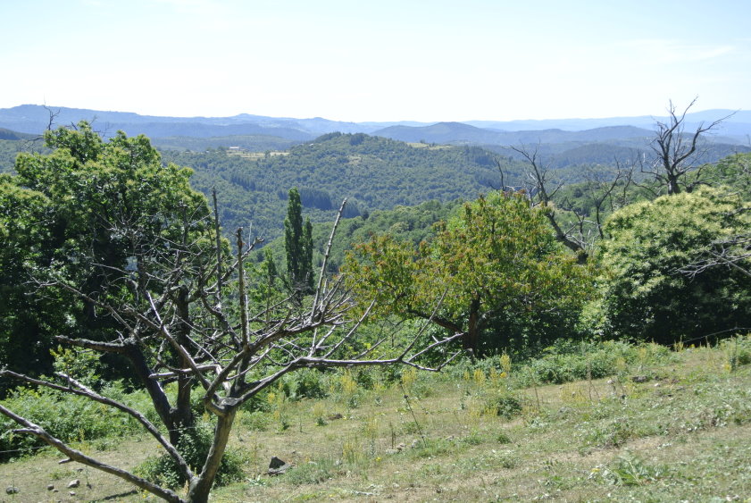 ardeche4577.jpg