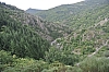 ardeche4382.jpg