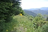 ardeche4540.jpg