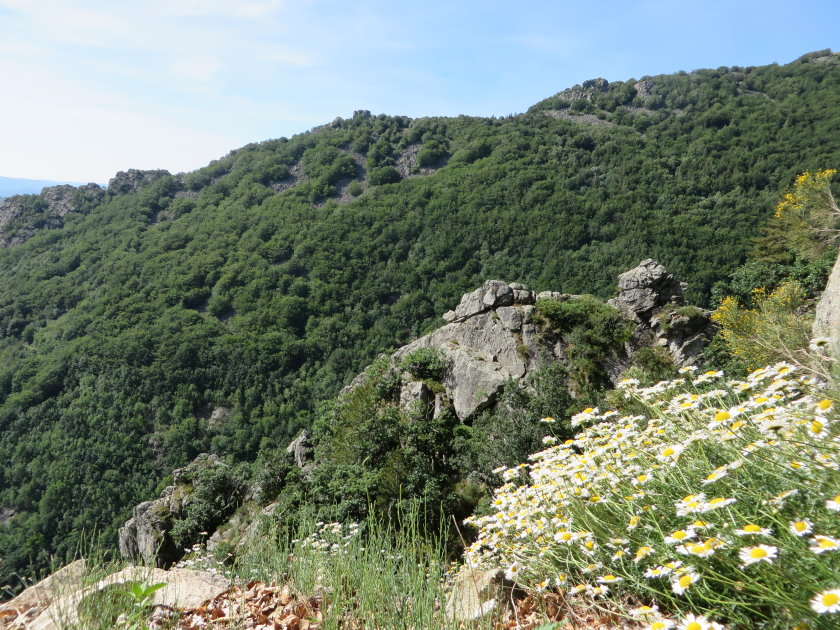 ardeche0015.jpg