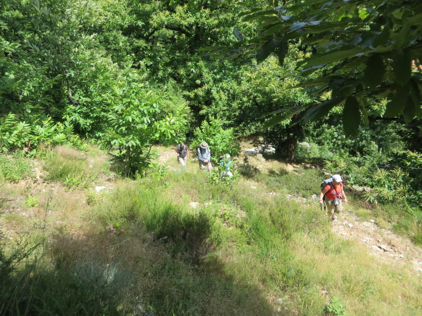 ardeche0038.jpg