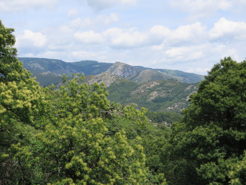 ardeche0051.jpg