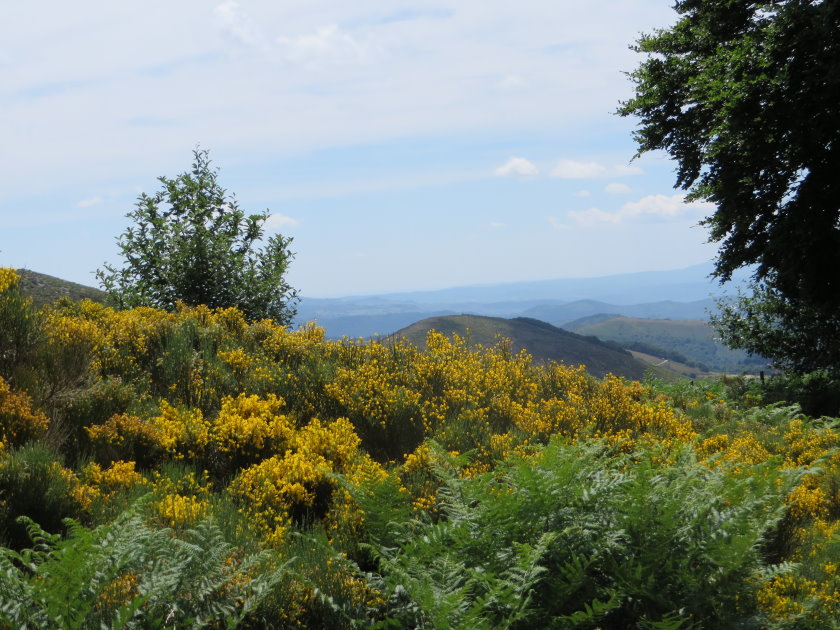 ardeche0103.jpg