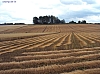 Louvain à Florival