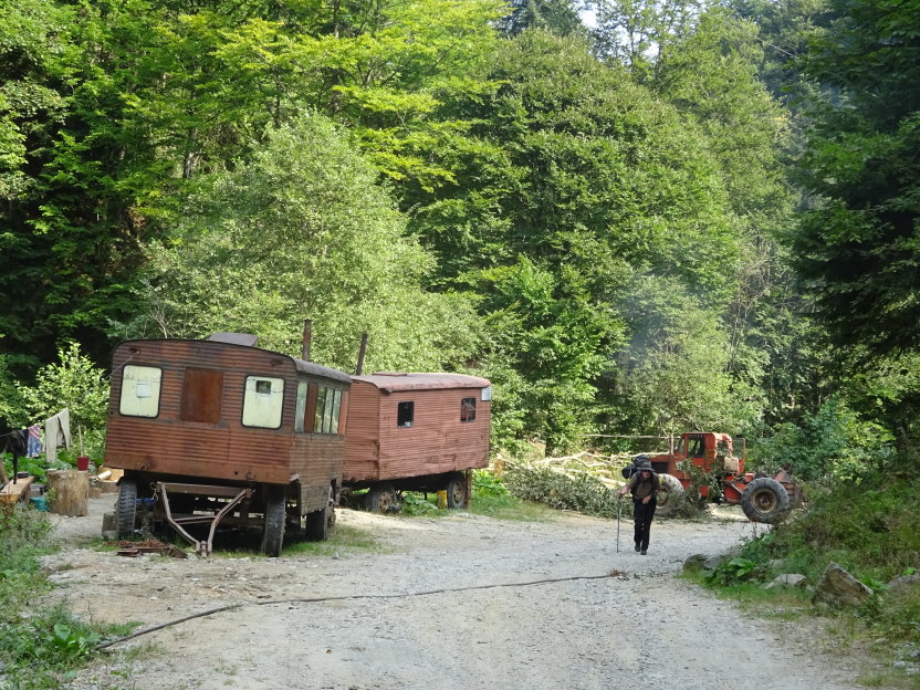 carpathes01967.jpg