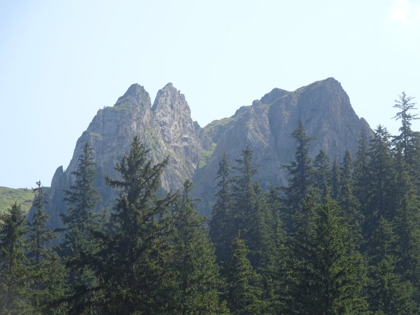 carpathes02001.jpg