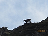 carpathes5565.JPG