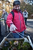 mycologie7423.jpg